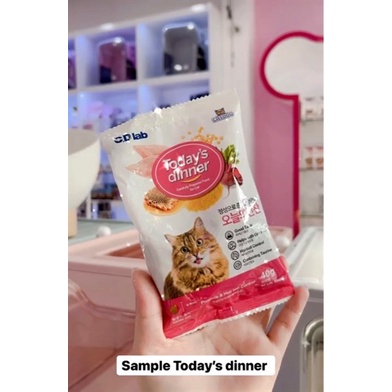 Thức ăn cho mèo Today dinner xuất xứ Hàn Quốc 40gr gói dùng thử