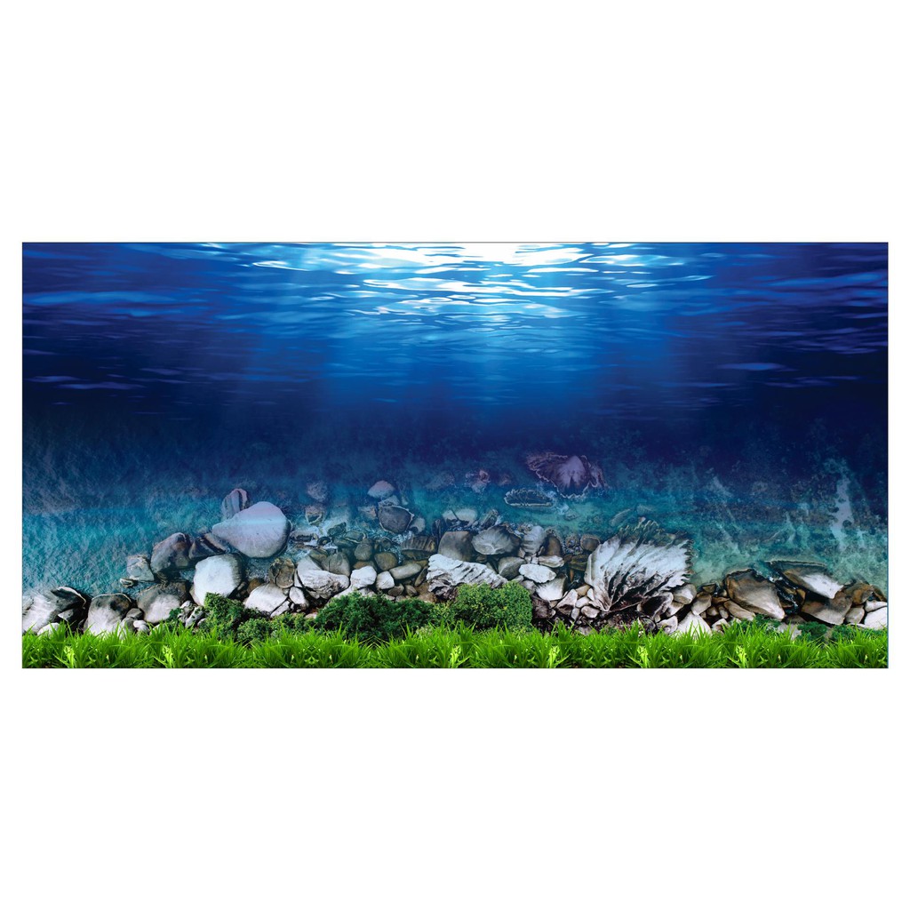 TRANH DECAL DÁN HỒ CÁ 3D_DECAL NÀNG THƠ