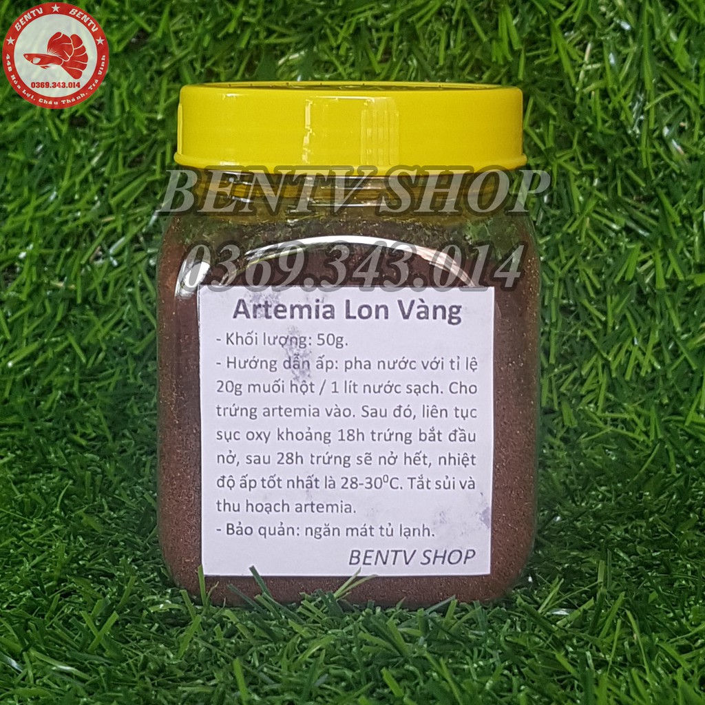 Trứng Artemia Ấp Nở Lon Vàng - Tỉ Lệ Nở Rất Cao