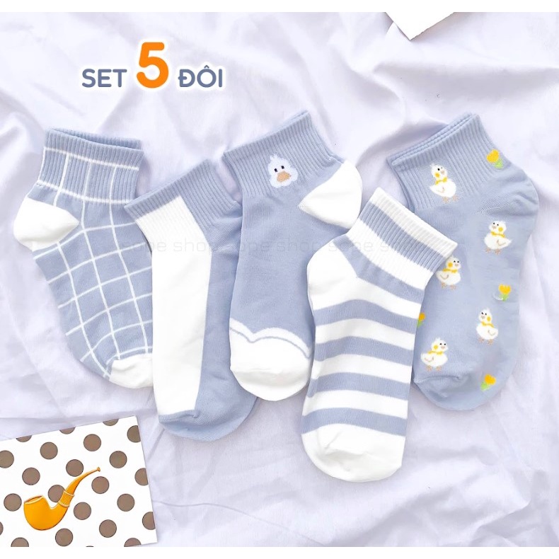Tất cổ ngắn chất liệu cotton co giãn bốn chiều, set 5 đôi vớ phong cách Hàn Quốc - Hot Store