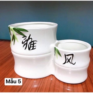 Chậu sứ đôi trồng cây