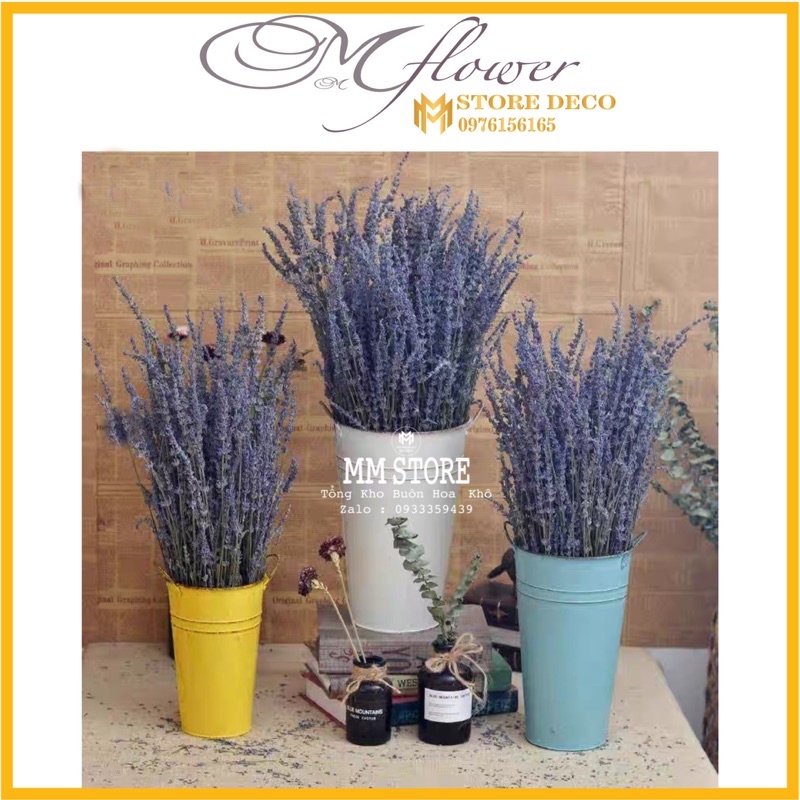 Hoa khô Lavender ❤️FREESHIP❤️ True Lavender hoa khô hàng chuẩn, tím than siêu đẹp