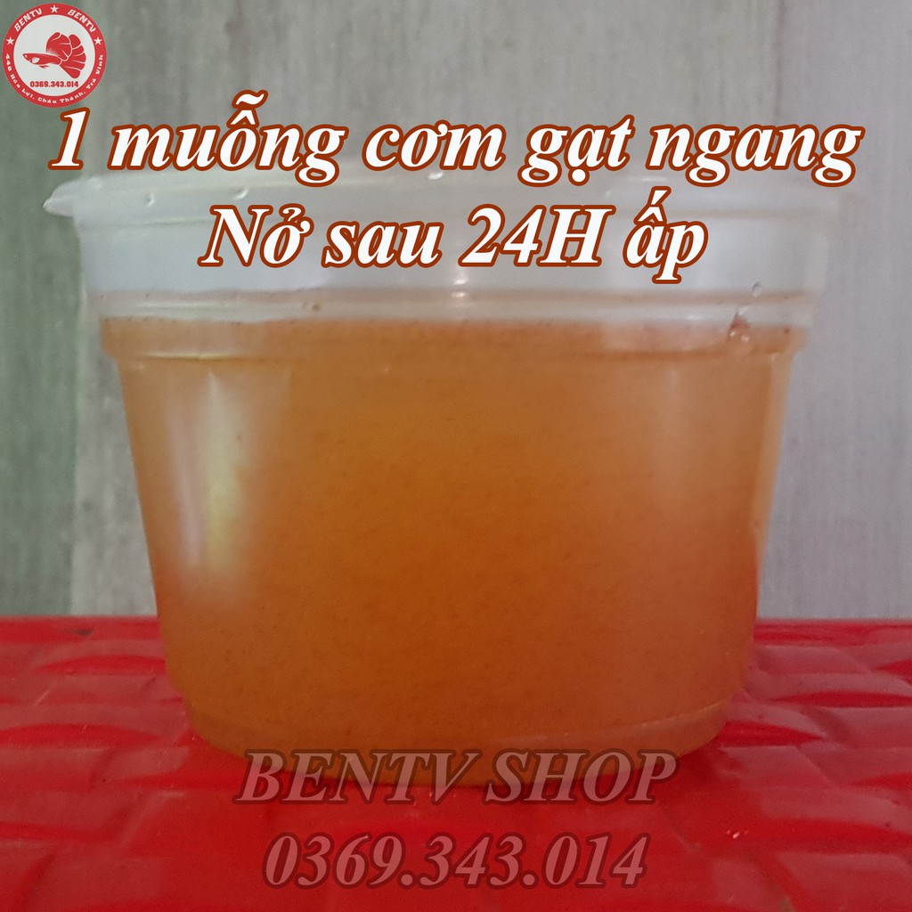 Trứng Artemia Ấp Nở Lon Vàng - Tỉ Lệ Nở Rất Cao