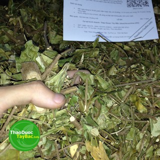 Bán Trà Dây Thìa Canh