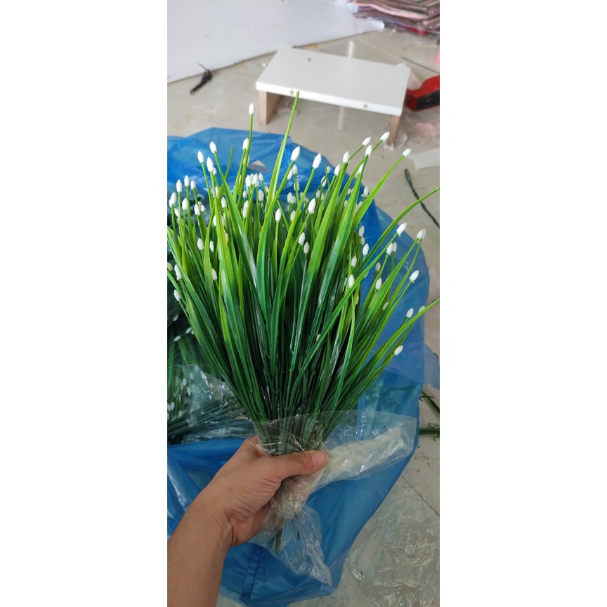Cỏ nụ nhựa
