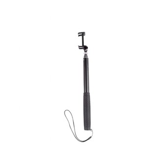 GẬY TỰ SƯỚNG SILVERCREST