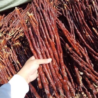 500G NẤM LINH CHI SỪNG HƯƠU LOẠI ĐẸP