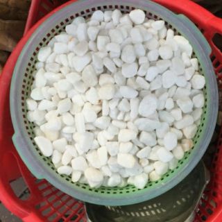 1kg đá trắng trang trí chậu cây nhà vườn