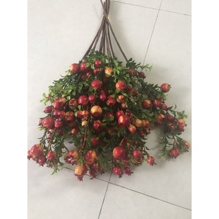 hoa giả,lựu nhỏ