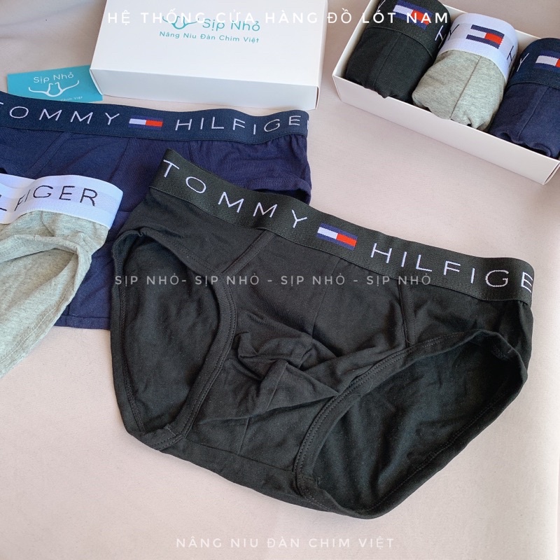 Quần lót tam giác tommy cotton thấm hút