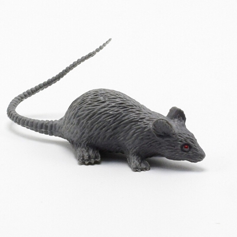 Bộ 10 con chuột nhựa dùng trong trang trí Halloween (hong) -shop SLIMEMOCHISQUISHY