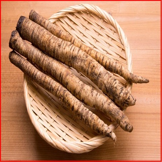 Củ ngưu báng tươi nhật bản - nmoff