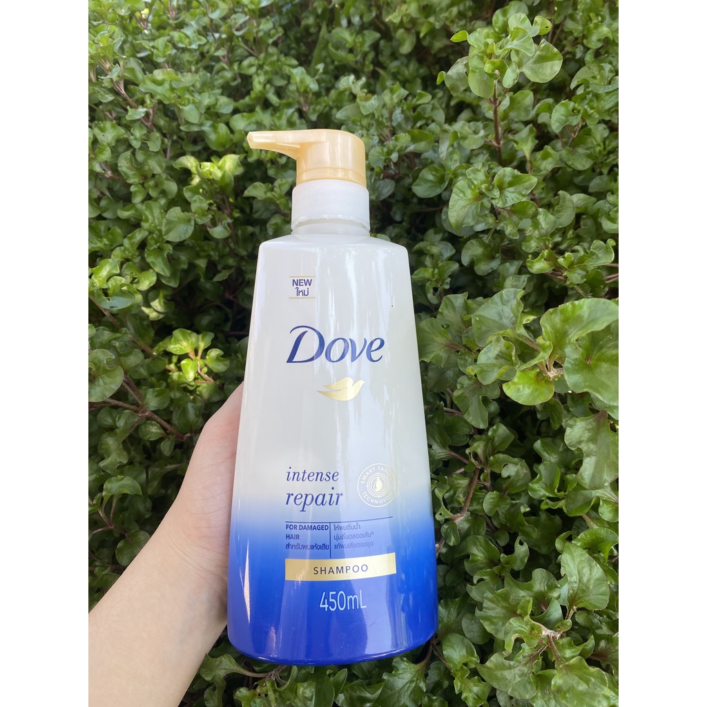 dầu gội DOVE 480ml thái