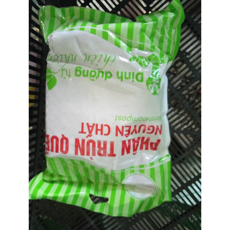 phân trùng quế
