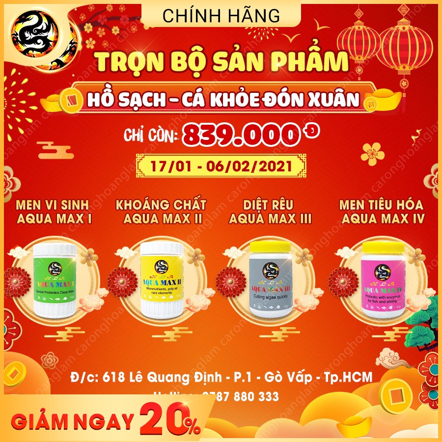 Combo 4 Aqua Max 1,2,3,4 Cho Cá Cảnh | Men Vi Sinh | Khoáng Chất | Diệt Rong Xanh, Tảo Nâu, Tảo Đỏ | Men Tiêu Hoá