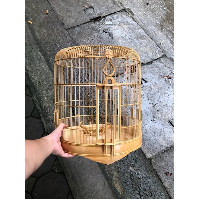 Combo 5 cái lồng chim Magpie - Kích thước từ 14 inches đến 18 inches