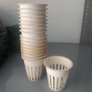 50/100 Rọ Thủy Canh 6.5x6.5cm Trồng Rau