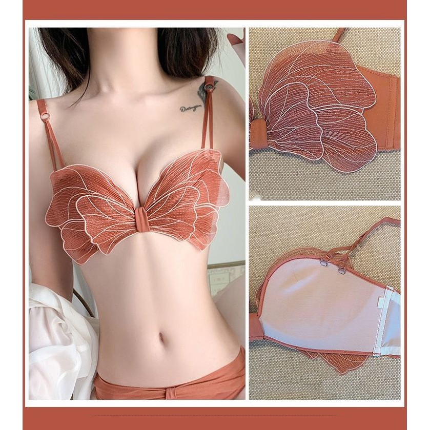 Áo Lót Ren Cánh Tiên Tông Màu Pastel