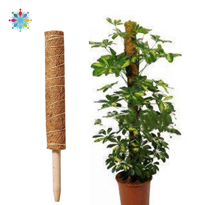 Thanh xơ dừa trồng cây/ hoa dây leo/cây thìa là tiện lợi