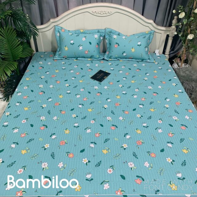 Ga chun trần bambiloo  cotton 100%