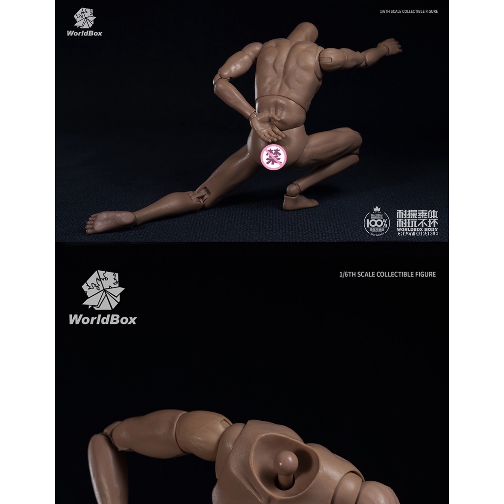 Mô hình Body Male AT020 tỉ lệ 1/6 - Hãng WorldBox