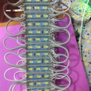 Led dây 3609 12v 3bóng