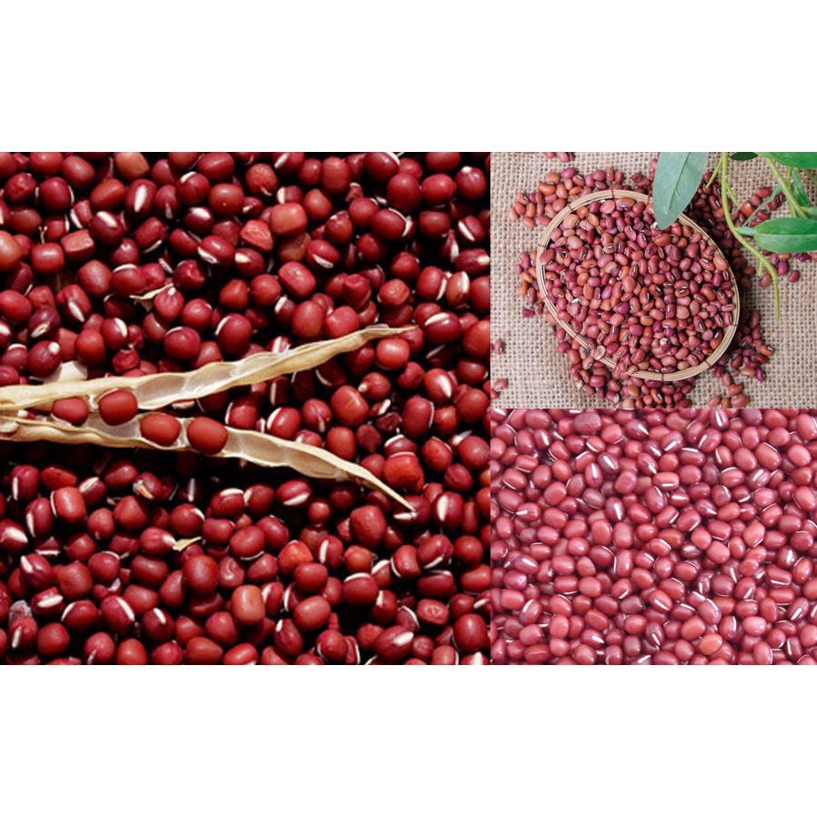 Đậu Đỏ hạt nhỏ 500g