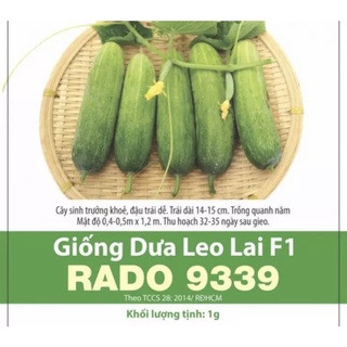 Hạt Giống Dưa Leo Lai 9339