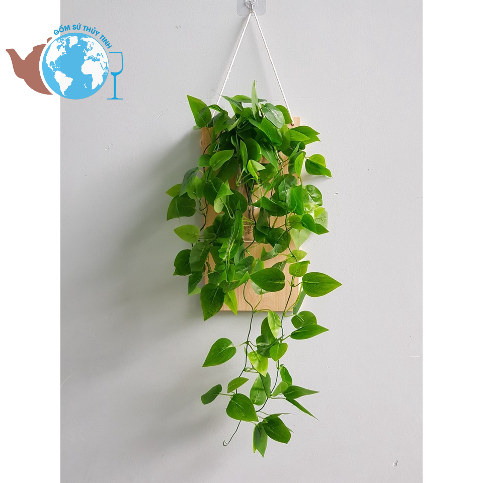 Khung gỗ trồng cây thủy sinh kèm lọ hoa thủy tinh - bảng gỗ decor trang trí nhà cửa đã quấn sẵn lọ thủy tinh và dây treo