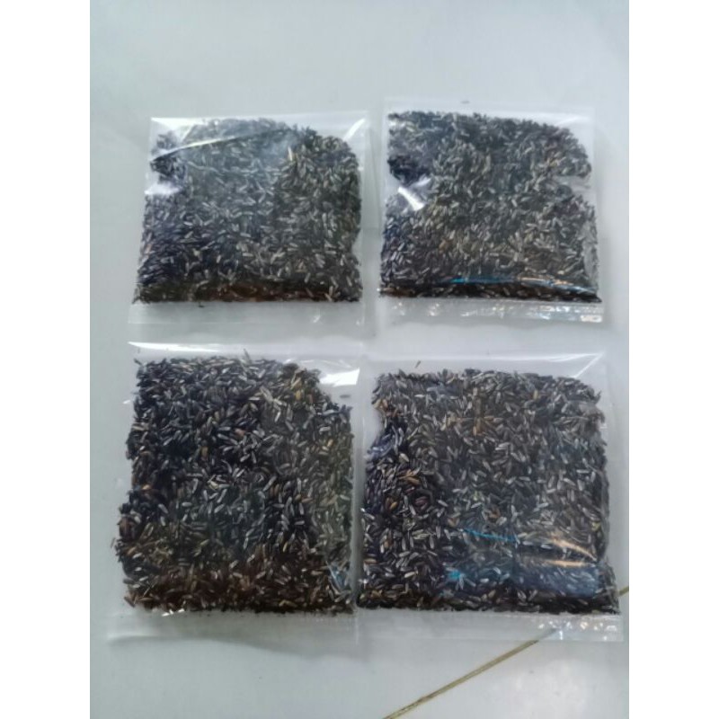 Gói 700 hạt giống đuôi chuột