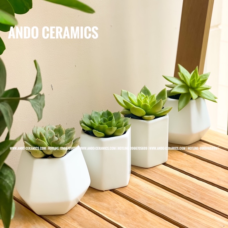 CHẬU CÂY MINI BẰNG SỨ TRẮNG MEN MÁT HÀNG BÁT TRÀNG DECOR XINH XẮN