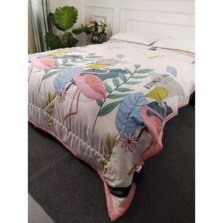 2 chăn zara dương xỉ