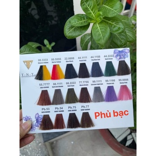Thuốc nhuộm TNT