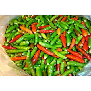 30 Hạt giống Ớt hiểm