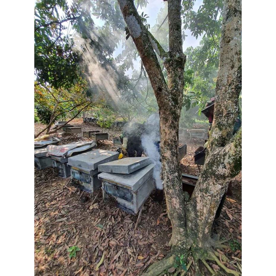 Mật ong nhãn nguyên chất 100% | NHÀ LÀM