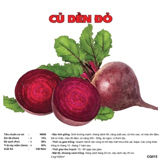 Hạt giống - Hạt Giống Củ Dền Đỏ loại F1 gói 5 gram dễ trồng, dễ chăm sóc CQ015