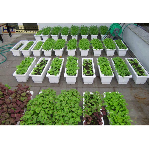 Chậu nhựa trồng hoa, trồng rau, trồng cây cảnh hình chữ nhật thông minh KT 48X20X16cm