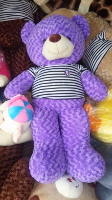 Gấu teddy khổ vải 1m5