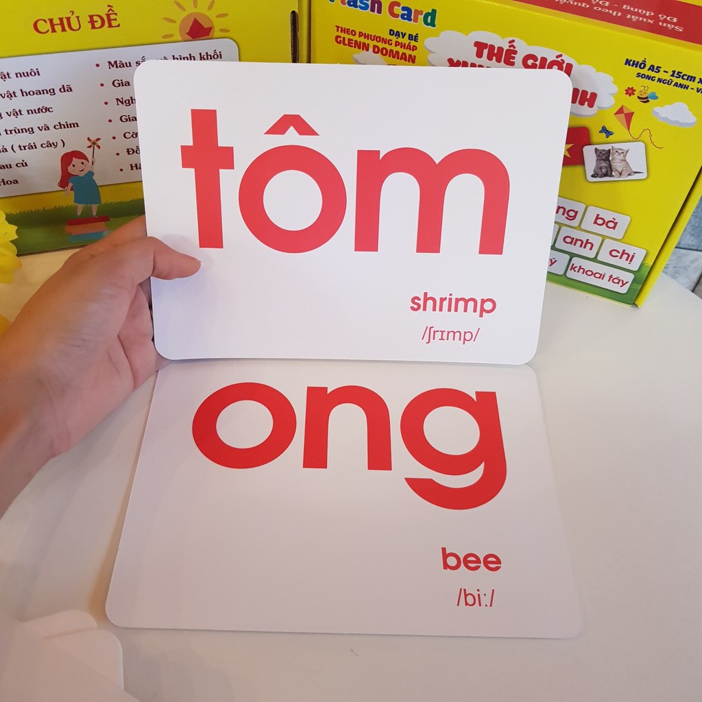 Bộ Flashcard Size Lớn Gồm 100 Thẻ Học Song Ngữ - Giúp Bé Khám Phá Thế Giới Xung Quanh