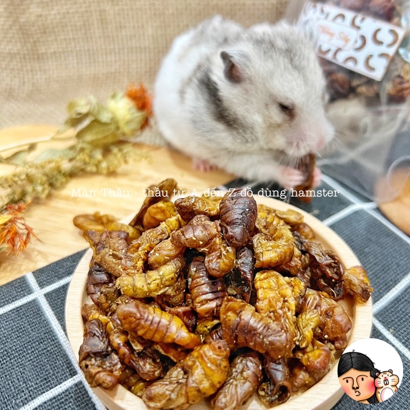 Nhộng sấy bổ dưỡng dành cho Hamster