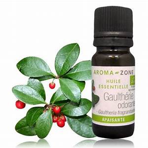 {Aroma Zone} Tinh dầu Lộc đề xanh