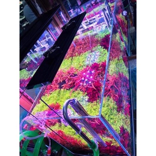 ĐÈN THUỶ SINH WRGB-LED 3 IN 1