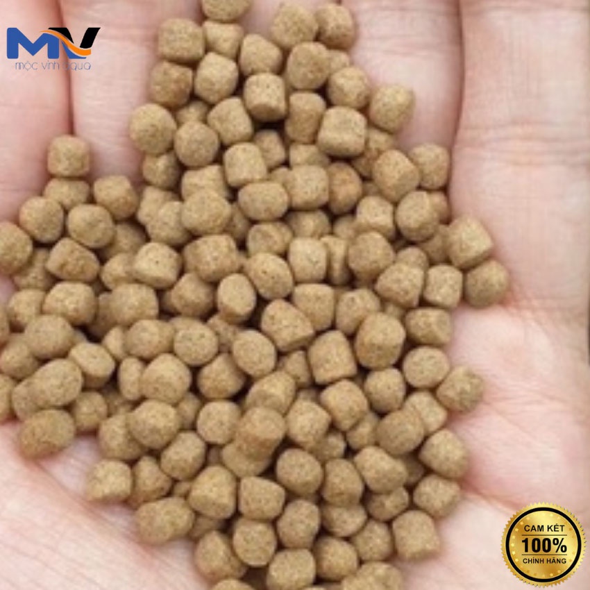 Cám cá koi King Feed 5kg siêu tăng trưởng 42% đạm, không váng dầu, body tròn đẹp