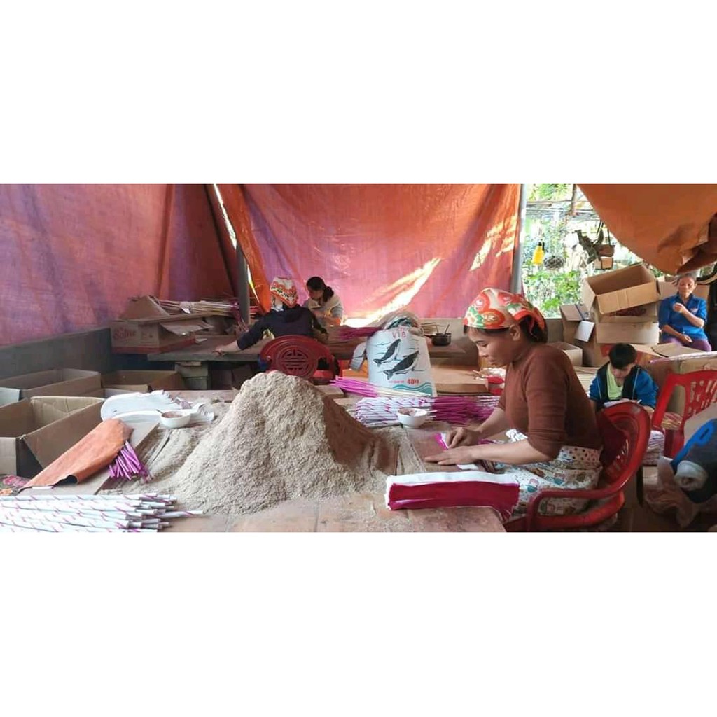 HƯƠNG TRẦM QUỲ CHÂU NGHỆ AN-HƯƠNG BÀI ĐƯỢC LÀM TỪ RỄ CÂY HƯƠNG BÀI ĐÀO TRÊN NÚI MIỀN TÂY XỨ NGHỆ  búp 10 cây