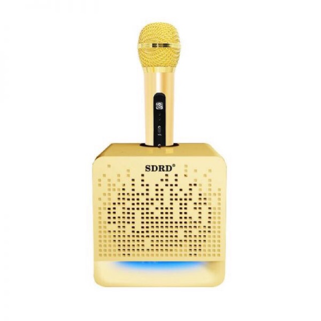 Loa bluetooth hát karaoke SDRD-504