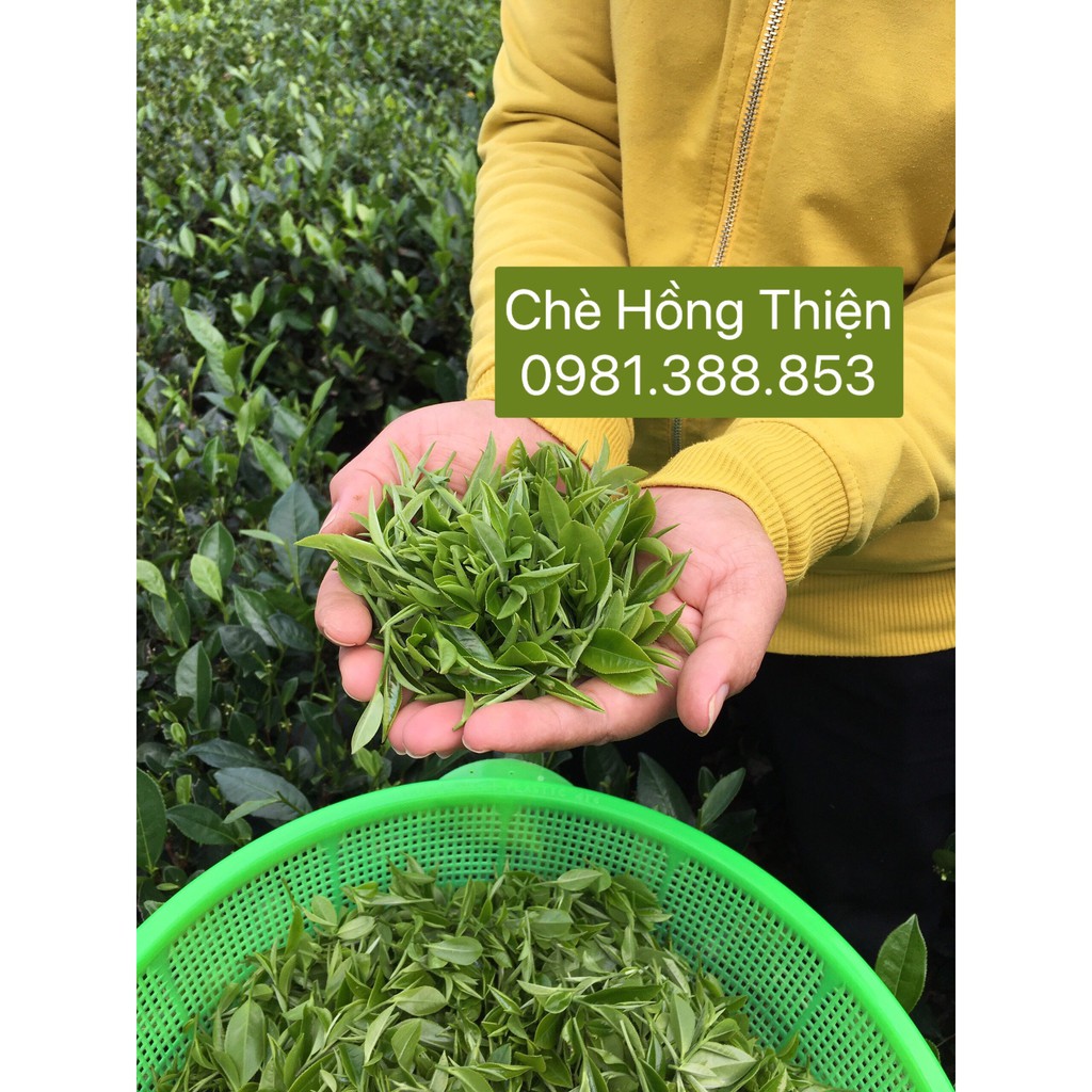 200g Trà Thái Nguyên - Chè Thái Nguyên - Chè Tôm nõn 1