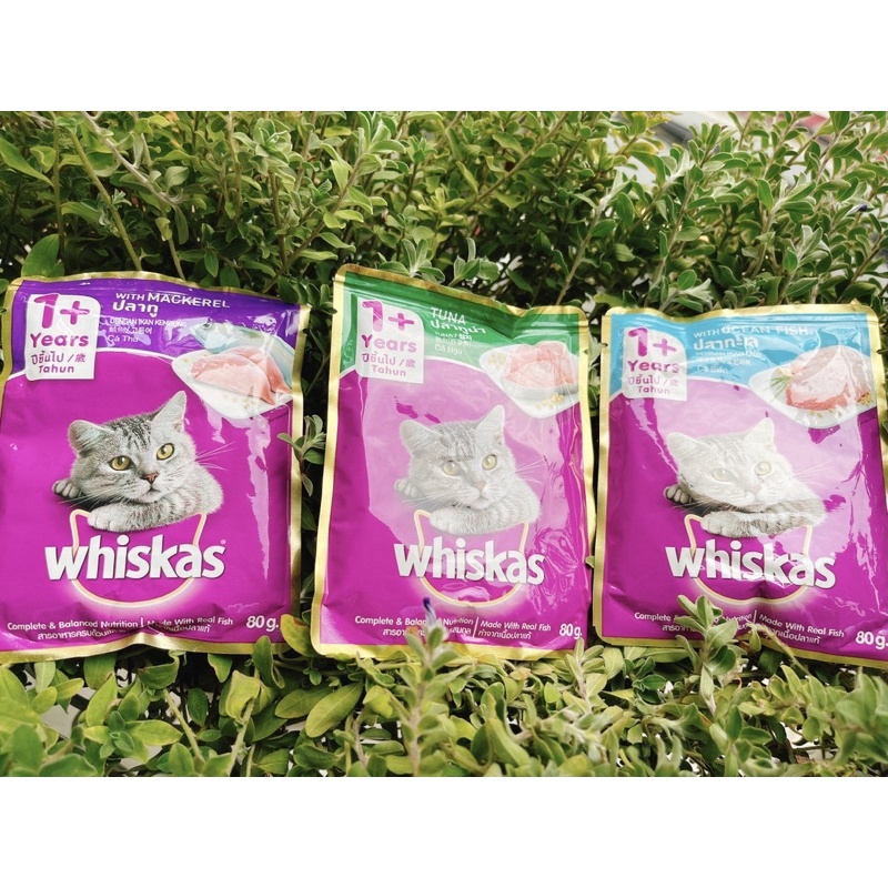 PATE WHISKAS MÈO LỚN GÓI 85g