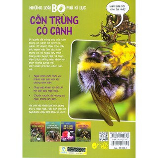 Những Loài Bọ Phá Kỷ Lục - Côn Trùng Có Cánh