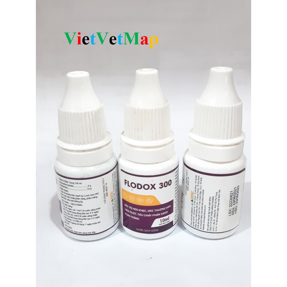 Dứt điểm Hen khẹt, ORT, Thương hàn, Viêm ruột, Tiêu chảy phân xanh phân trắng - Flodox 300 10ml