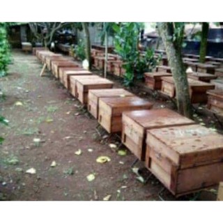MẬT ONG ĐakLak ( nguyên chất )